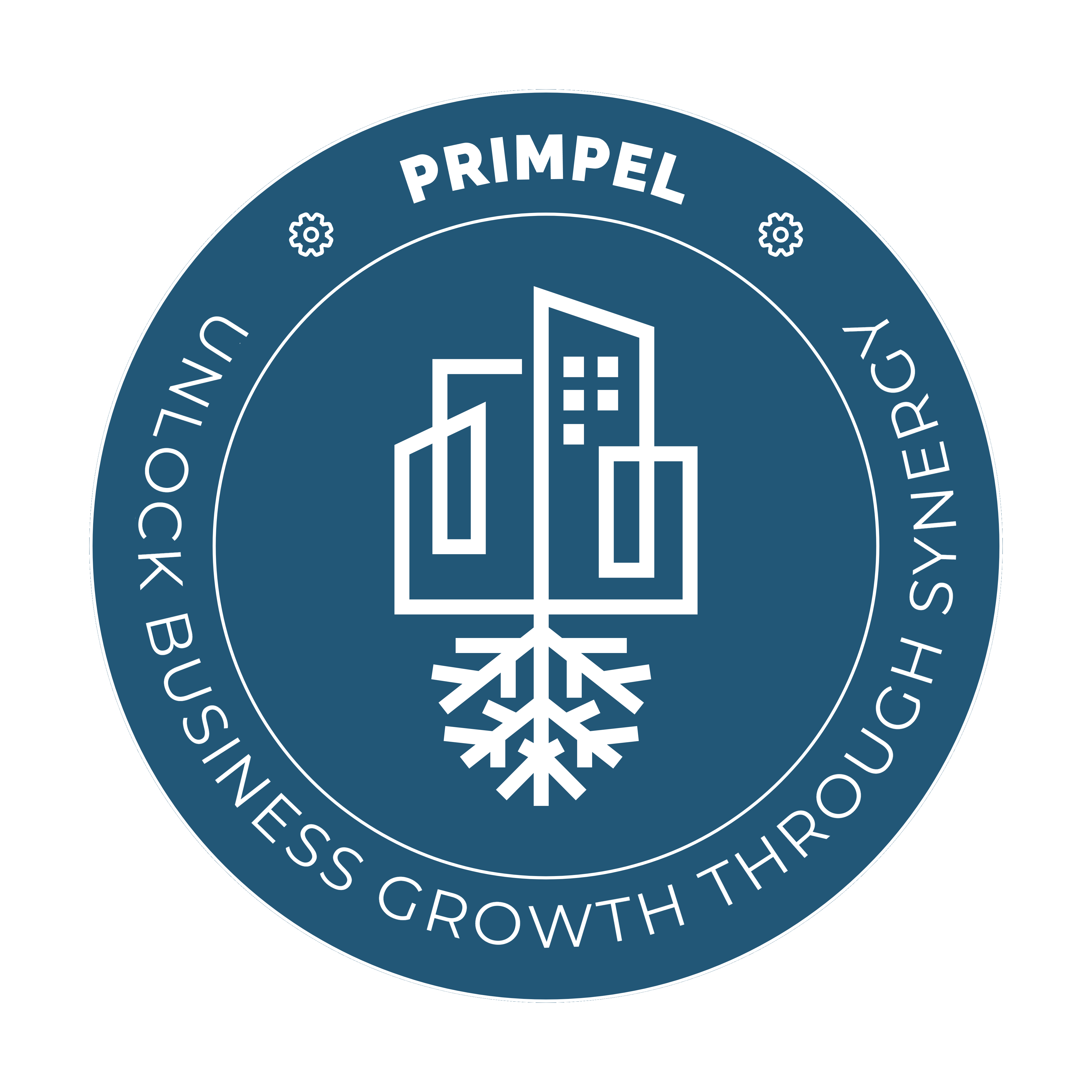 Primpel Ecosystem: Startup support and business infrastructure